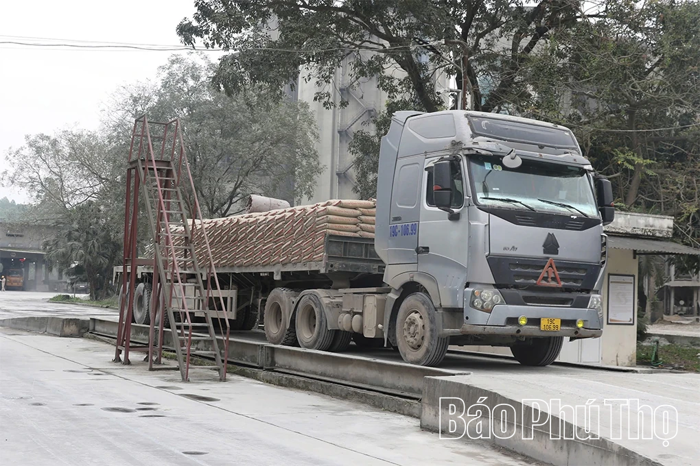 Những chuyến hàng đầu tiên Xi măng Vicem Sông Thao chào năm mới Xuân Bính Ngọ 